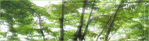 �⌾����������i��t�������J�s�j